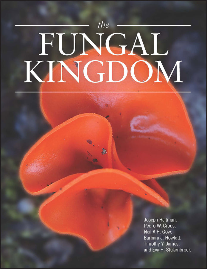The Fungal Kingdom (Hardback) 9781555819576
