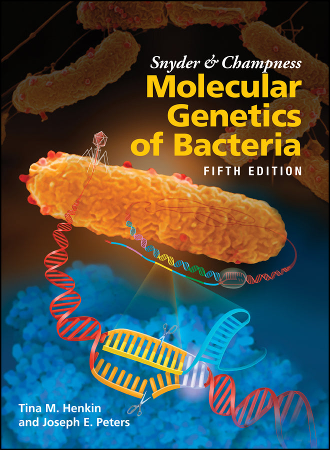 Snyder and Champness Molecular Genetics of Bacteria (Hardback) 9781555819750