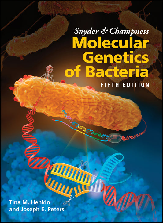 Snyder and Champness Molecular Genetics of Bacteria (Hardback) 9781555819750