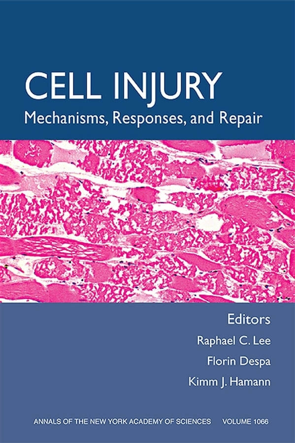 Cell Injury; Mechanisms, Responses, and Therapeutics, Volume 1066 (Paperback / softback) 9781573316170