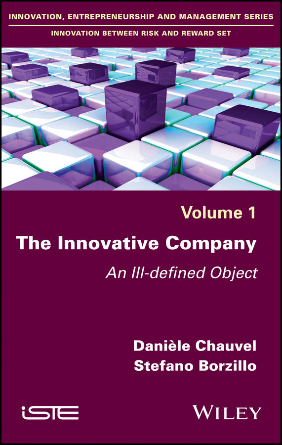 The Innovative Company; An Ill-defined Object (Hardback) 9781786300652