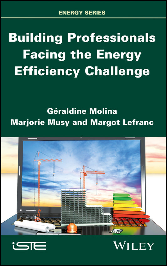 Building Professionals Facing the Energy Efficiency Challenge (Hardback) 9781786301499