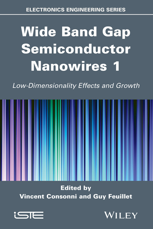 Wide Band Gap Semiconductor Nanowires 1; Low-Dimensionality Effects and Growth (Hardback) 9781848215979