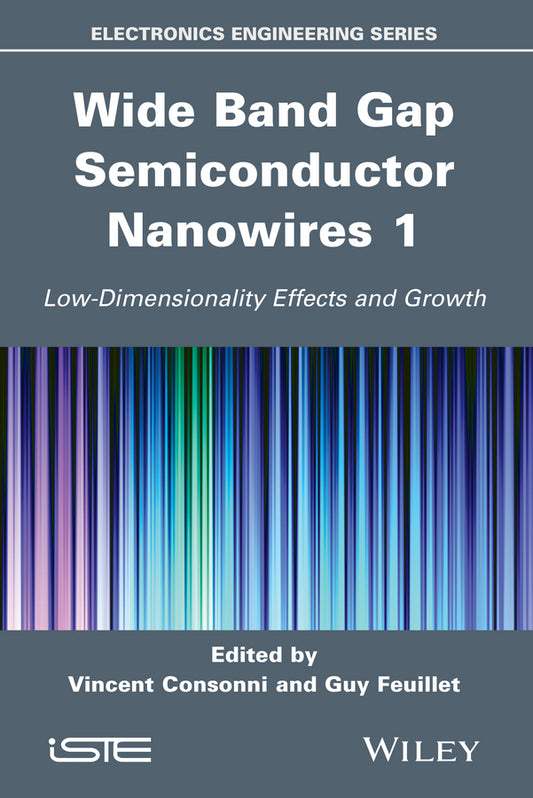 Wide Band Gap Semiconductor Nanowires 1; Low-Dimensionality Effects and Growth (Hardback) 9781848215979