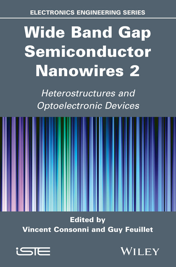 Wide Band Gap Semiconductor Nanowires 2; Heterostructures and Optoelectronic Devices (Hardback) 9781848216877