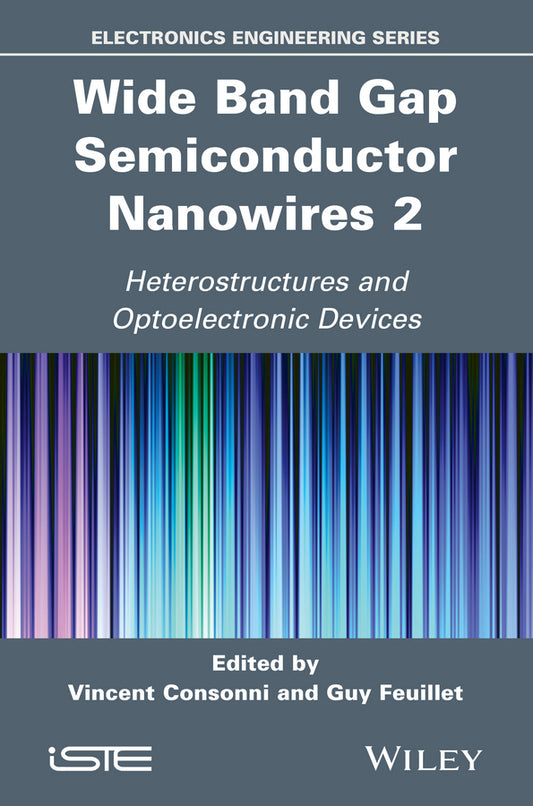 Wide Band Gap Semiconductor Nanowires 2; Heterostructures and Optoelectronic Devices (Hardback) 9781848216877