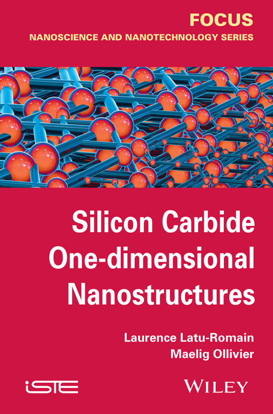 Silicon Carbide One-dimensional Nanostructures (Hardback) 9781848217973