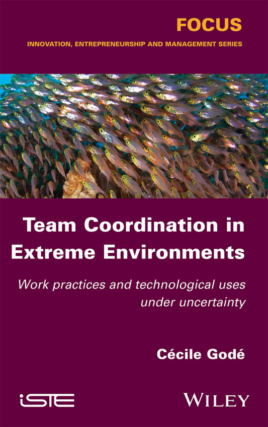 Team Coordination in Extreme Environments; Work Practices and Technological Uses under Uncertainty (Paperback / softback) 9781848219137