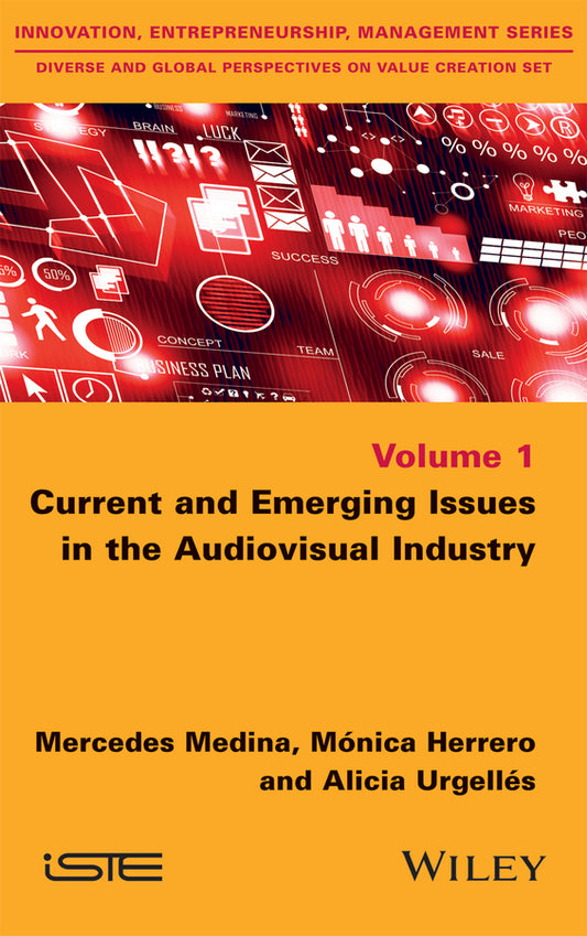 Current and Emerging Issues in the Audiovisual Industry (Hardback) 9781848219779