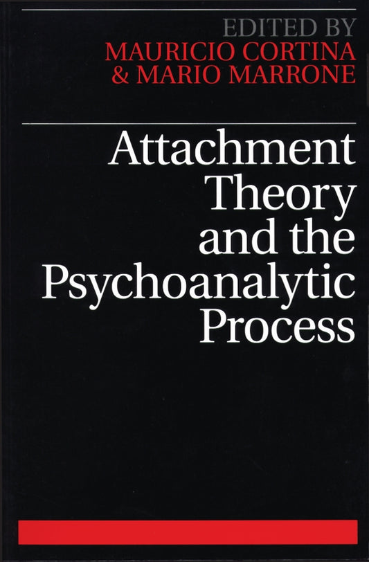 Attachment Theory and the Psychoanalytic Process (Paperback / softback) 9781861562876
