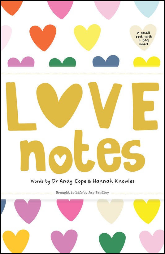 Love Notes; A small book with a big heart (Paperback / softback) 9781907312953
