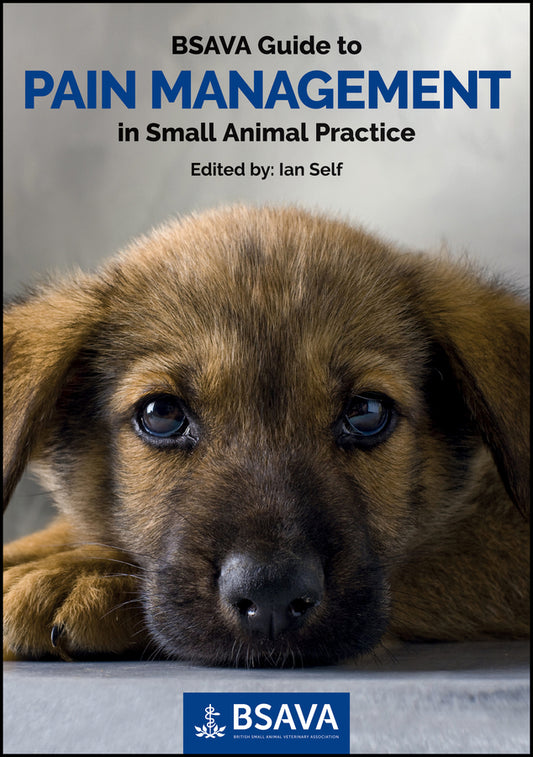 BSAVA Guide to Pain Management in Small Animal Practice (Paperback / softback) 9781910443002