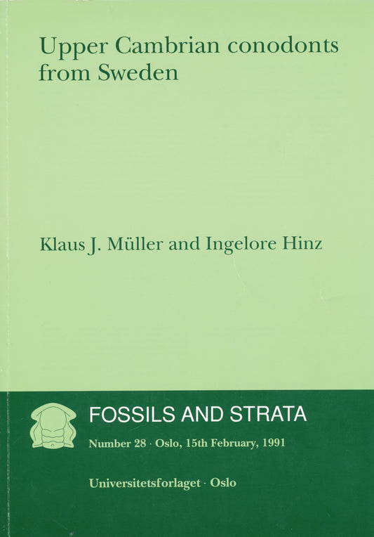 Upper Cambrian Conodonts from Sweden (Paperback / softback) 9788200374756