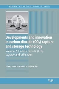 Developments and Innovation in Carbon Dioxide (CO2) Capture and Storage Technology; Carbon Dioxide (Co2) Storage and Utilisation (Paperback / softback) 9780081014493