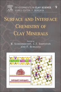 Surface and Interface Chemistry of Clay Minerals (Paperback / softback) 9780081024324