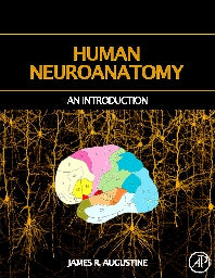 Human Neuroanatomy (Hardback) 9780120682515