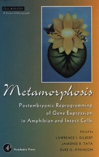 Metamorphosis; Postembryonic Reprogramming of Gene Expression in Amphibian and Insect Cells (Hardback) 9780122832451