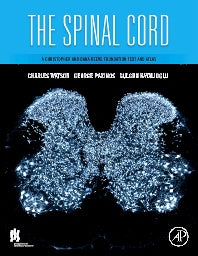 The Spinal Cord; A Christopher and Dana Reeve Foundation Text and Atlas (Hardback) 9780123742476