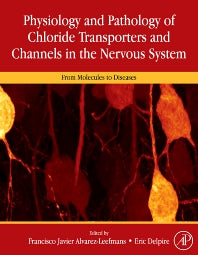 Physiology and Pathology of Chloride Transporters and Channels in the Nervous System; From Molecules to Diseases (Hardback) 9780123743732