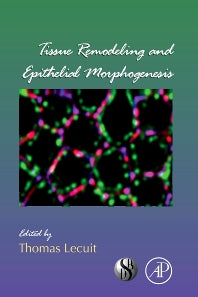 Tissue Remodeling and Epithelial Morphogenesis (Hardback) 9780123749024