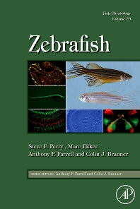 Fish Physiology: Zebrafish (Hardback) 9780123749833