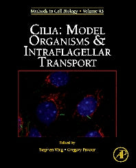 Cilia: Model Organisms and Intraflagellar Transport (Hardback) 9780123813770