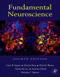 Fundamental Neuroscience (Hardback) 9780123858702