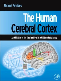 The Human Cerebral Cortex; An MRI Atlas of the Sulci and Gyri in MNI Stereotaxic Space (Hardback) 9780123869388