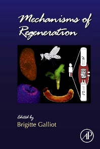 Mechanisms of Regeneration (Hardback) 9780123914989