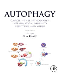 Autophagy: Cancer, Other Pathologies, Inflammation, Immunity, Infection, and Aging; Volume 4 - Mitophagy (Hardback) 9780124055285