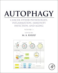 Autophagy: Cancer, Other Pathologies, Inflammation, Immunity, Infection, and Aging; Volume 3 - Role in Specific Diseases (Hardback) 9780124055292