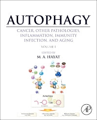 Autophagy: Cancer, Other Pathologies, Inflammation, Immunity, Infection, and Aging; Volume 1 - Molecular Mechanisms (Hardback) 9780124055308