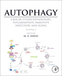 Autophagy: Cancer, Other Pathologies, Inflammation, Immunity, Infection, and Aging; Volume 2 - Role in General Diseases (Hardback) 9780124058774