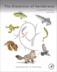 The Dissection of Vertebrates (Paperback) 9780124104600