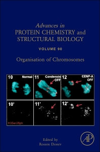 Organisation of Chromosomes (Hardback) 9780124105232