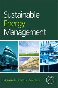 Sustainable Energy Management (Hardback) 9780124159785