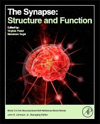 The Synapse; Structure and Function (Hardback) 9780124186750