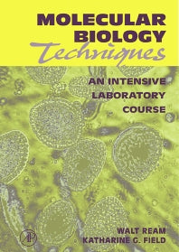 Molecular Biology Techniques; An Intensive Laboratory Course (Paperback) 9780125839907