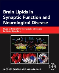 Brain Lipids in Synaptic Function and Neurological Disease; Clues to Innovative Therapeutic Strategies for Brain Disorders (Hardback) 9780128001110