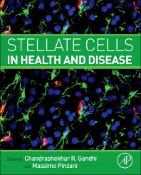 Stellate Cells in Health and Disease (Hardback) 9780128001349