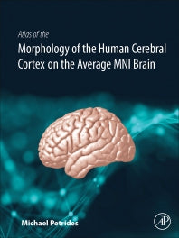 Atlas of the Morphology of the Human Cerebral Cortex on the Average MNI Brain (Hardback) 9780128009321