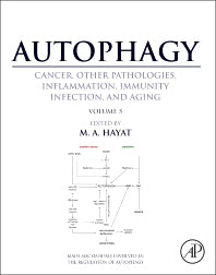 Autophagy: Cancer, Other Pathologies, Inflammation, Immunity, Infection, and Aging; Volume 5 - Role in Human Diseases (Hardback) 9780128010334