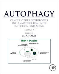 Autophagy: Cancer, Other Pathologies, Inflammation, Immunity, Infection, and Aging; Volume 7- Role of Autophagy in Therapeutic Applications (Hardback) 9780128010433