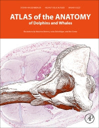 Atlas of the Anatomy of Dolphins and Whales (Hardback) 9780128024461