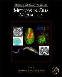 Methods in Cilia and Flagella (Hardback) 9780128024515