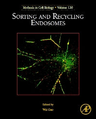 Sorting and Recycling Endosomes (Hardback) 9780128028292