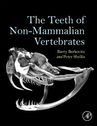 The Teeth of Non-Mammalian Vertebrates (Hardback) 9780128028506