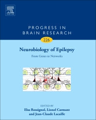 Neurobiology of Epilepsy; From Genes to Networks (Hardback) 9780128038864