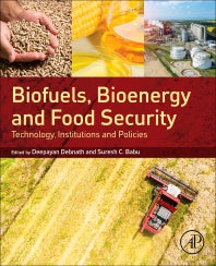 Biofuels, Bioenergy and Food Security; Technology, Institutions and Policies (Paperback) 9780128039540