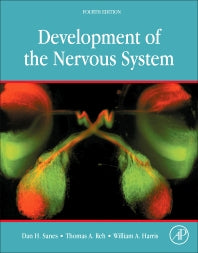 Development of the Nervous System (Hardback) 9780128039960